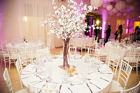 Salón Bernardina 2