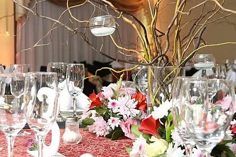 Bebian Eventos 3