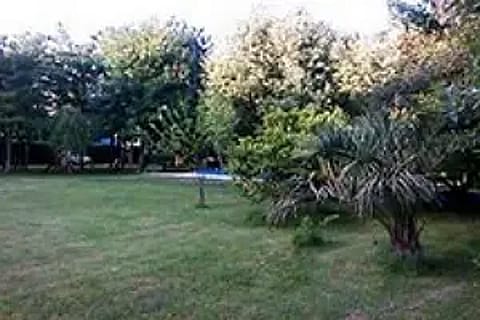 Atreo Estilo Campo 5
