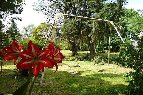 Finca Hernández 2
