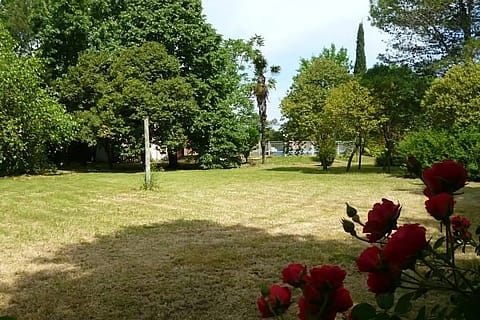 Finca Hernández 5