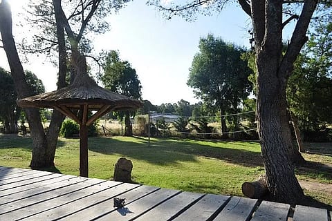 El Aguaribay 2