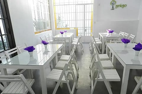 Ginkgo Eventos 2