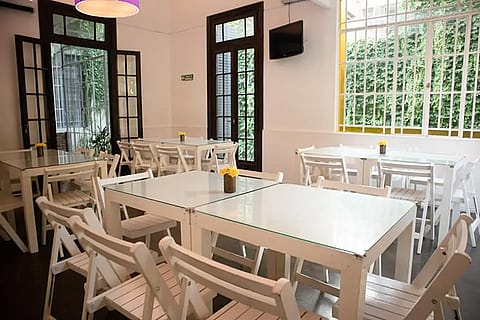 Ginkgo Eventos 4