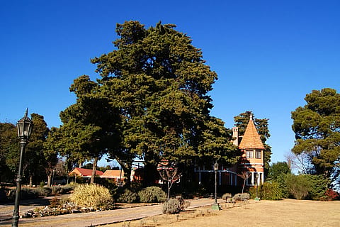 Hotel Boutique Villa Art 2