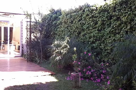 Calavera no Chilla 4
