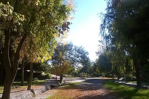 Exclusive Centro Turístico Internacional 4