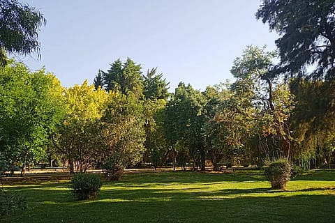 Exclusive Centro Turístico Internacional 5