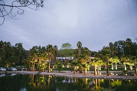 Alma Multiespacio 2