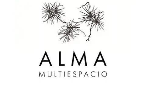 Alma Multiespacio 5
