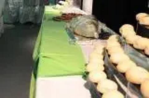 Macondo Eventos 5