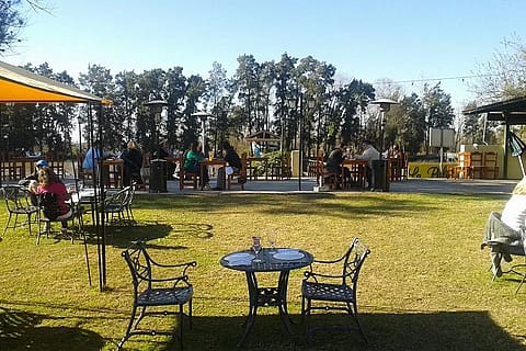 La Polola 2
