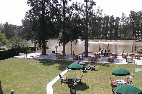 La Polola 4