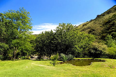 A Orilla del Río 3
