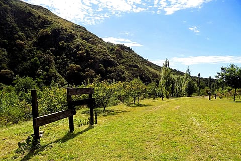 A Orilla del Río 5