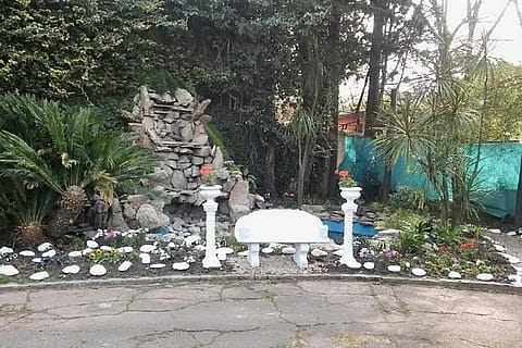 Espacio Tortugas Eventos 4
