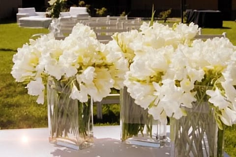 Ciley Eventos 4