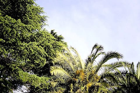 Quinta El Milagro 3