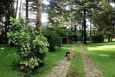 Quinta El Milagro 5