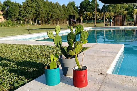 Gaia Casa de Campo 4