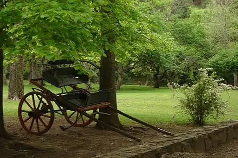 Estancia Los Tilos 3