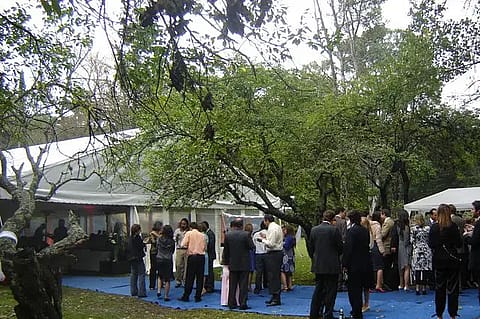 Estancia Los Tilos 4