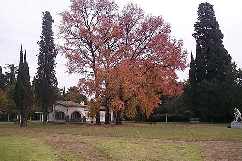 La Elsita 5
