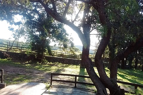 Kalifa 4