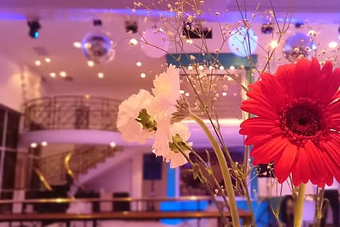Magalón Eventos 4