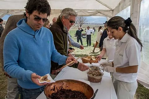 Estancia Atamisque 5