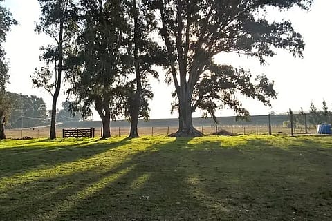 Granja Educativa El Terraplén 5