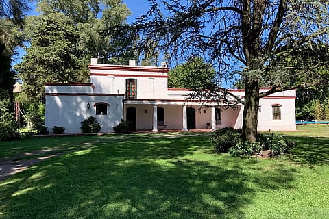 Raíces Vascas