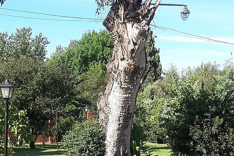 Quinta Las Dos Banderas 3