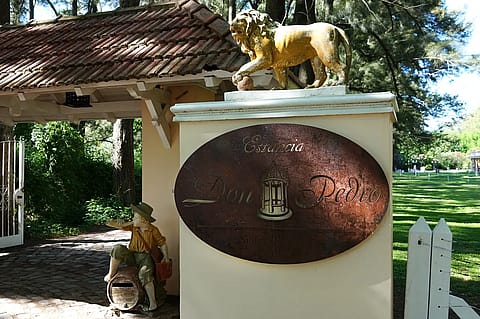 Estancia Don Pedro 4