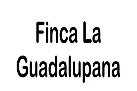Finca La Guadalupana 5