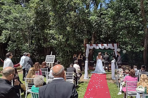 Quinta Selva Madre