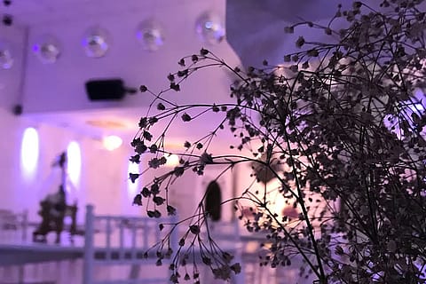 Candelaria Eventos 5