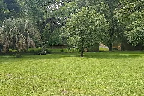 La Doménica 2