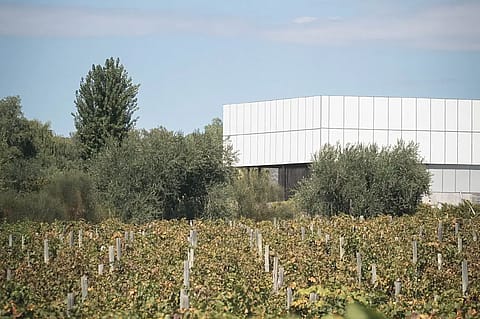 Bodega Finca Savina 2
