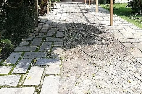 Finca Lujan 3