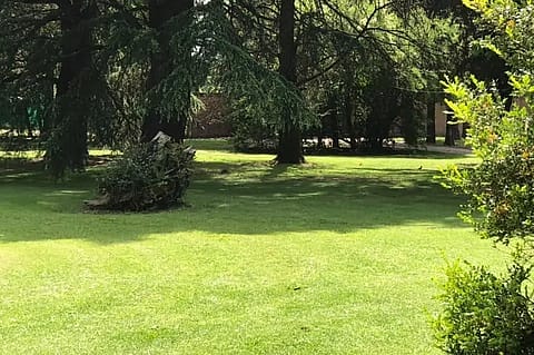 Quinta Tata 3