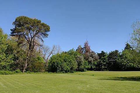 Quinta Tata 4