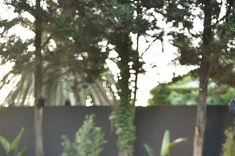 Puerta2 Eventos 4