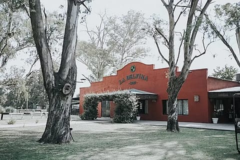 La Delfina 5