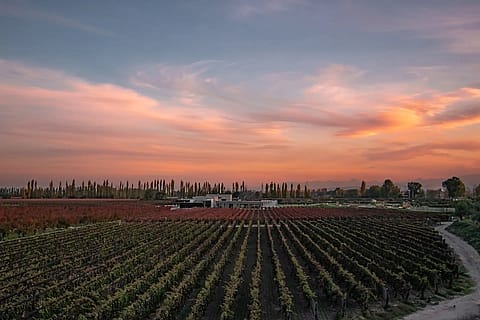 Durigutti Family Winemakers Finca Victoria 2