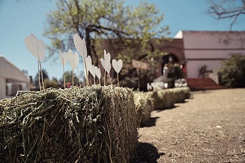 Estancia Vieja 2