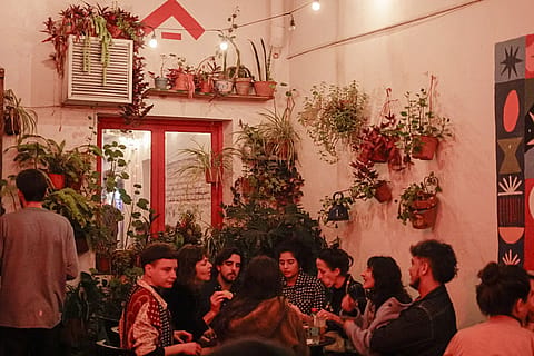La Casa del Árbol 2