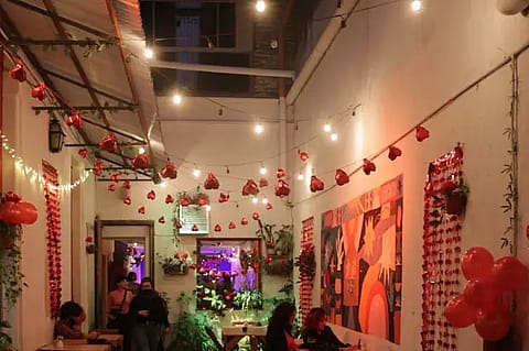 La Casa del Árbol 5