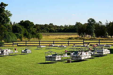 Estancia Santa Elena 5