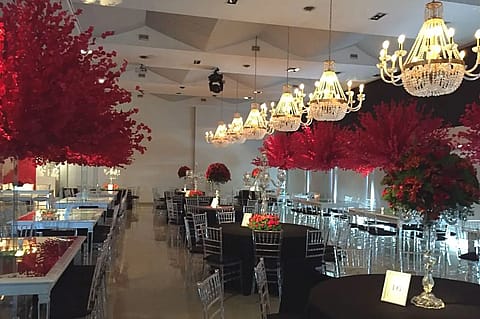Cícero Eventos 3
